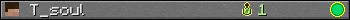 T_soul userbar 350x20