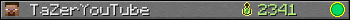 TaZerYouTube userbar 350x20