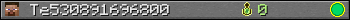Te530891696800 userbar 350x20