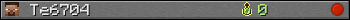 Te6704 userbar 350x20