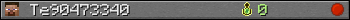 Te90473340 userbar 350x20