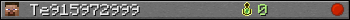 Te915972999 userbar 350x20