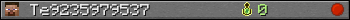 Te9235979537 userbar 350x20
