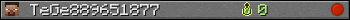 TeGe889651877 userbar 350x20