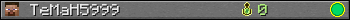 TeMaH5999 userbar 350x20