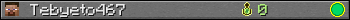 Tebyeto467 userbar 350x20