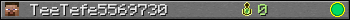 TeeTefe5569730 userbar 350x20