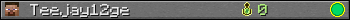 Teejay12ge userbar 350x20