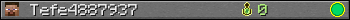 Tefe4887937 userbar 350x20