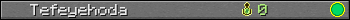 Tefeyehoda userbar 350x20