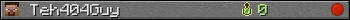 Teh404Guy userbar 350x20