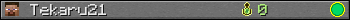 Tekaru21 userbar 350x20