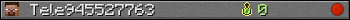 Tele945527763 userbar 350x20