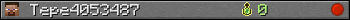 Tepe4053487 userbar 350x20