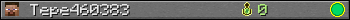 Tepe460383 userbar 350x20