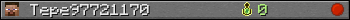 Tepe97721170 userbar 350x20