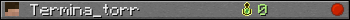 Termina_torr userbar 350x20