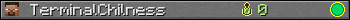 TerminalChilness userbar 350x20