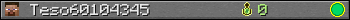 Teso60104345 userbar 350x20
