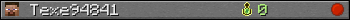 Texe94841 userbar 350x20