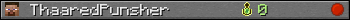 ThaaredPunsher userbar 350x20