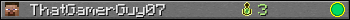 ThatGamerGuy07 userbar 350x20