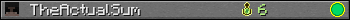 Benutzerleisten 350x20 für TheActualSum