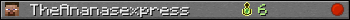 TheAnanasexpress userbar 350x20