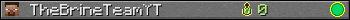 TheBrineTeamYT userbar 350x20