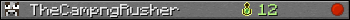 TheCampngRusher userbar 350x20