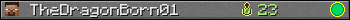 TheDragonBorn01 userbar 350x20