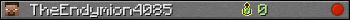 TheEndymion4085 userbar 350x20