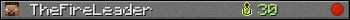 TheFireLeader userbar 350x20