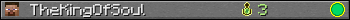 TheKingOfSoul userbar 350x20