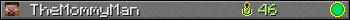 TheMommyMan userbar 350x20