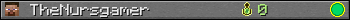 TheNursgamer userbar 350x20