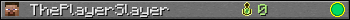 ThePlayerSlayer userbar 350x20