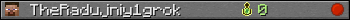 TheRadujniy1grok userbar 350x20