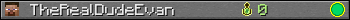 TheRealDudeEvan userbar 350x20