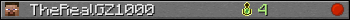 TheRealGZ1000 userbar 350x20