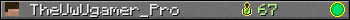 TheUwUgamer_Pro userbar 350x20