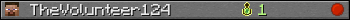 TheVolunteer124 userbar 350x20