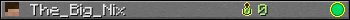 The_Big_Nix userbar 350x20