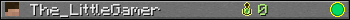 The_LittleGamer userbar 350x20