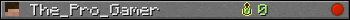 The_Pro_Gamer userbar 350x20