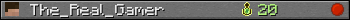 The_Real_Gamer userbar 350x20