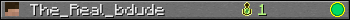 The_Real_bdude userbar 350x20