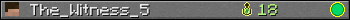 The_Witness_5 userbar 350x20