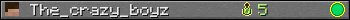 The_crazy_boyz userbar 350x20