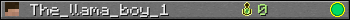 The_llama_boy_1 userbar 350x20